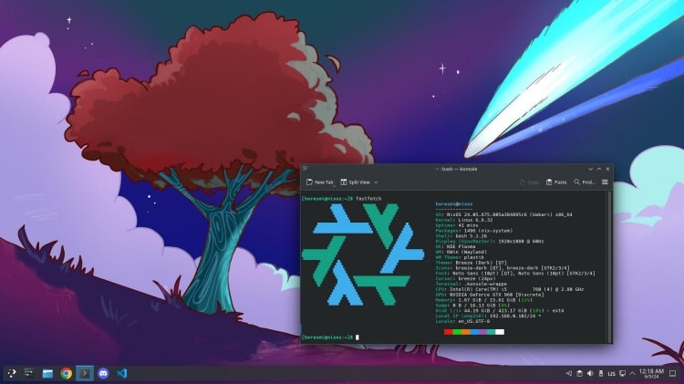 nixos image